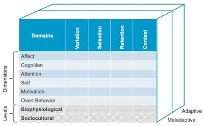 Toward a Unified Framework for Positive Psychology Interventions: Evidence-Based Processes of Change in Coaching, Prevention, and Training